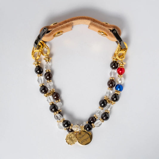 Leo Astrological Sign Dog Necklace