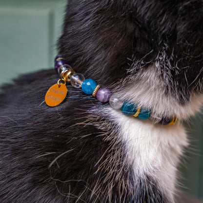 Collier Chat Perte de poids