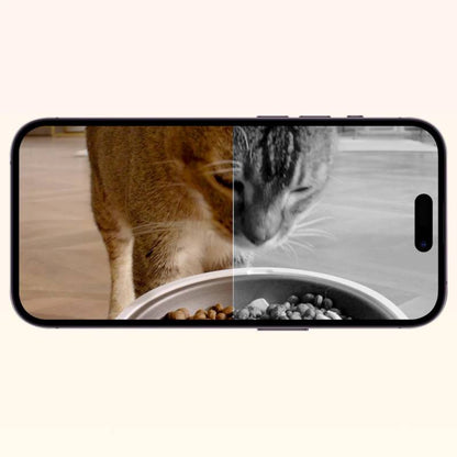 Distributeur de Croquettes YumShare Dual Hopper – Double Compartiment & Caméra IA