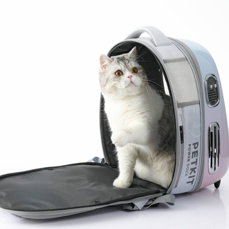 Sac à Dos de Transport Breezy 2 – Coloris Rose Pastel